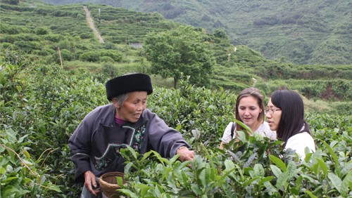 湖南省茶業(yè)集團(tuán)股份有限公司產(chǎn)教融合校企合作三年規(guī)劃（2022-2024年）